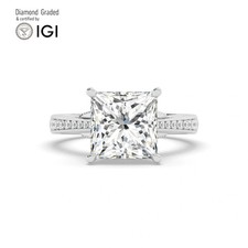 Princess Diamond Engagement