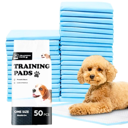 Puppy training pads toilet - training, dog