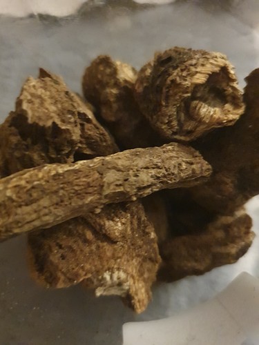 Organic costus root 40g qust - costus,