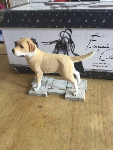 Sherratt simpson labrador - sherratt,