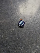 National  old racing Pigeon