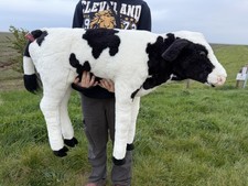 Life size realistic - size,