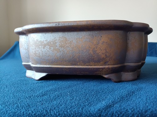 Quality bonsai ceramic - , pot