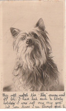 Vintage Postcard depicting a