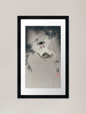 Monkey, hanging from bamboo