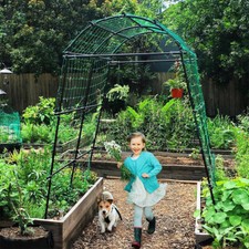 Outdoor Pea & Bean Cucumber