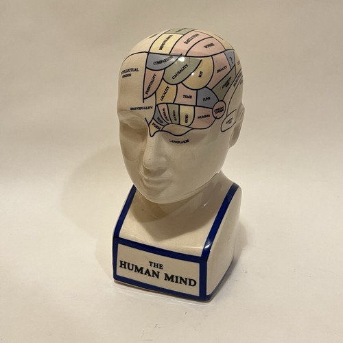 Phrenology head bust - head, ceramic
