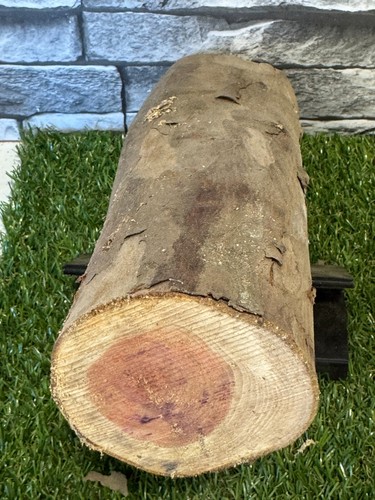 Year air dried - wood, log