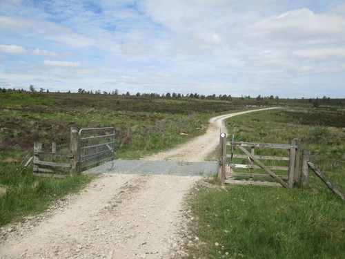 Photo metal gate and - photo,