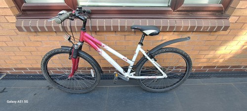 Raleigh airlite al6061 - raleigh,
