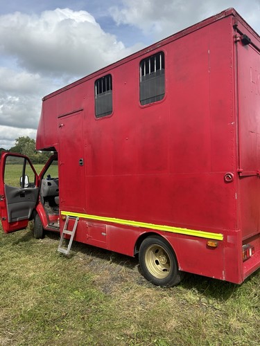 Ton ford transit horsebox - transit,