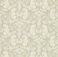 Aquarium Seahorse Natural