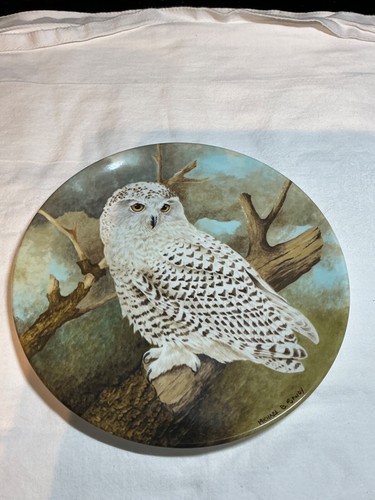 Snowy owl from the - "snowy, owl"