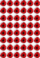 48 x 3 CM POPPY EDIBLE RICE/WAFER PAPER CUPCAKE/FAIRY CAKE TOPPERS