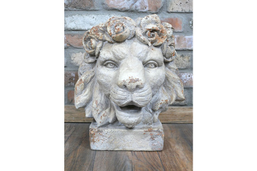 7kg huge 44cm - 7kg, head