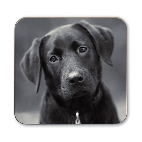 Dog coasters westie - coasters,