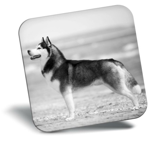 Awesome fridge magnet - awesome,