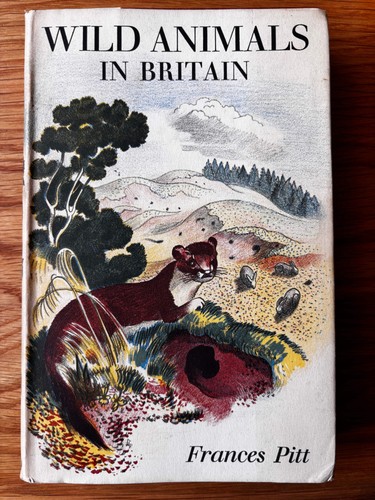 John nash wild - wild, in