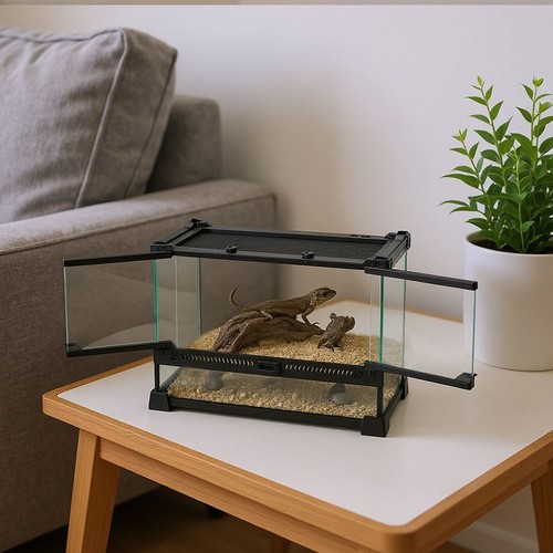 Glass reptile terrarium - glass,