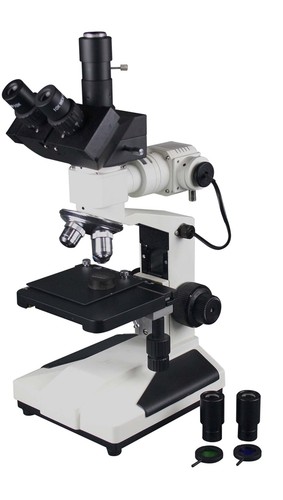 Radical 800x top light - radical,