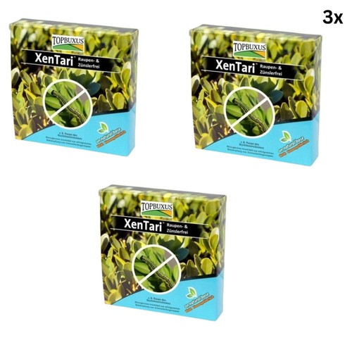 Topbuxus xentari boxwood - 3x,