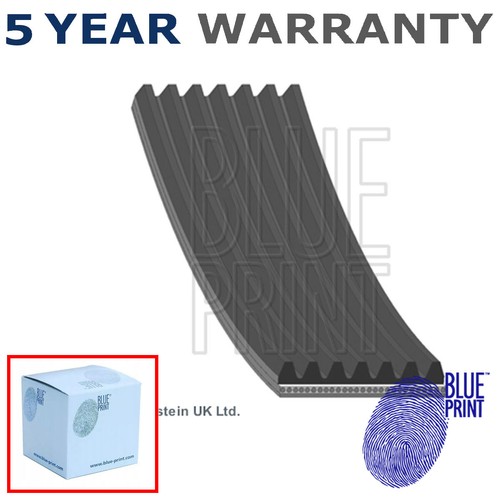 Alternator belt blue - alternator,