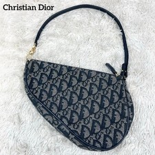 Christian Dior Handbag Saddle