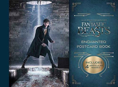 Harry potter and the - potter,