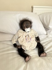 Beautiful Monkey Chimp