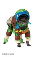 Teenage Mutant Ninja Turtles