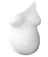  Plaster Body Casting