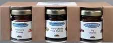 Delicious Taster/Gift Chutney