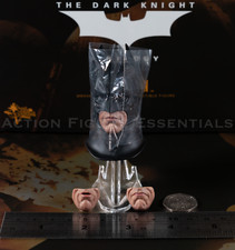 Hot Toys Batman Begins Head
