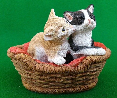 Sherratt simpson kittens - &,