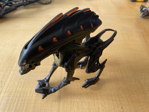 Aliens wild boar alien - alien, action