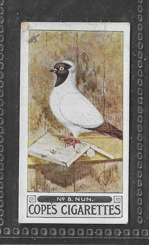 Cope bros pigeons 1926 - cope,