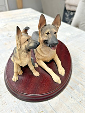 German Shepherd Dog and Pup
