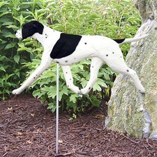 English Pointer Outdoor Garden