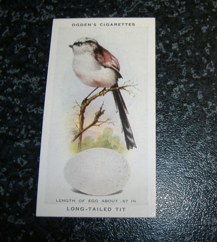 Ogdens british birds their - -,