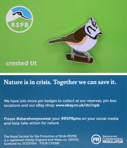Rspb pin badge - badge, crested