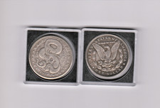 HOBO DOLLAR COIN ...SNAKE & SKULL  in PROTECTIVE CASE