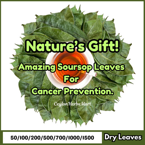 Sun dried soursop - dried, graviola