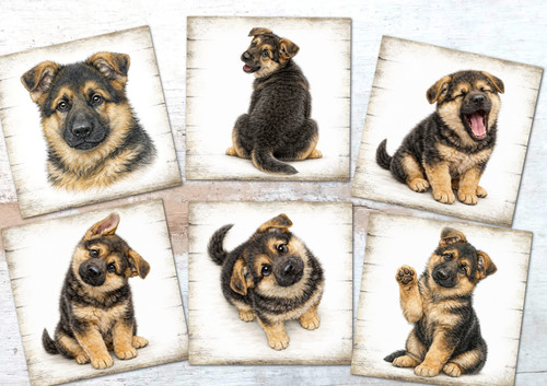 German shepherd puppies card - shepherd,