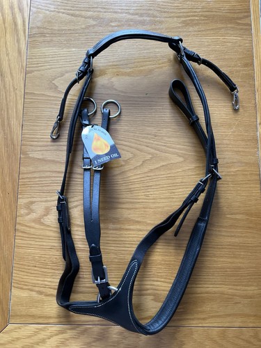 Shires avingion breastplate - avingion,