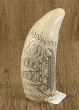 Sperm Whale Tooth Scrimshaw