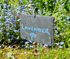 5 Natural Slate Hanging Garden