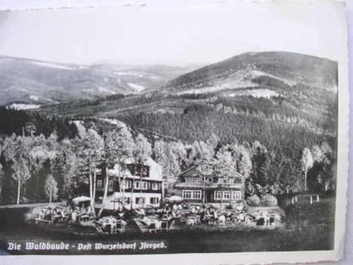 9749 forest inn wurzelsdorf - ak,