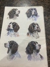 A4 Rice Paper Springer