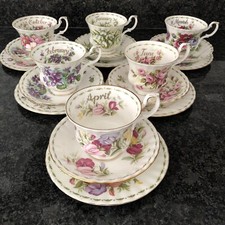 Royal  Albert flower of the