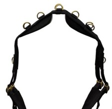 Windsor Synthetic Schooling